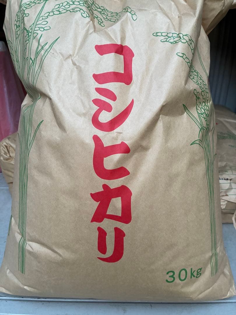 令和6年産 栃木県産コシヒカリ【玄米】箱込30キロ送料無料♪