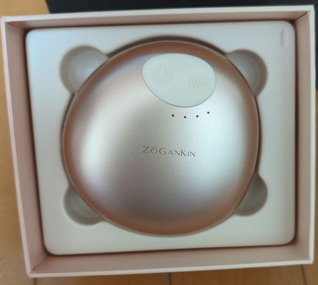 ゾーガンキン　スカルプ