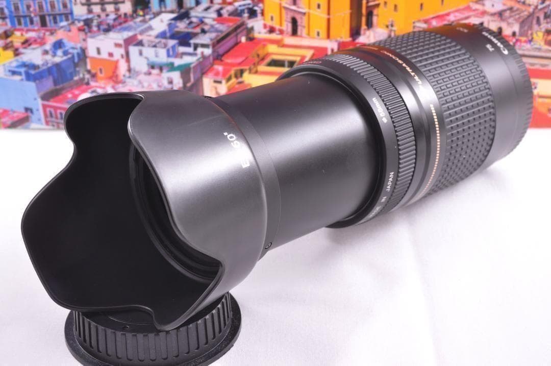 望遠レンズ Canon キヤノン EF75-300mm 想い出の瞬間 完動品