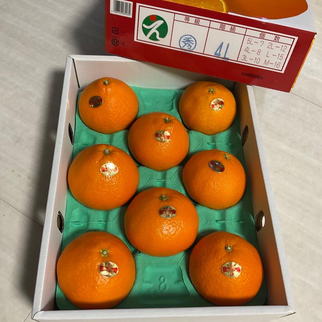愛媛県産 紅マドンナ 高級フルーツ みかん 紅まどんな。