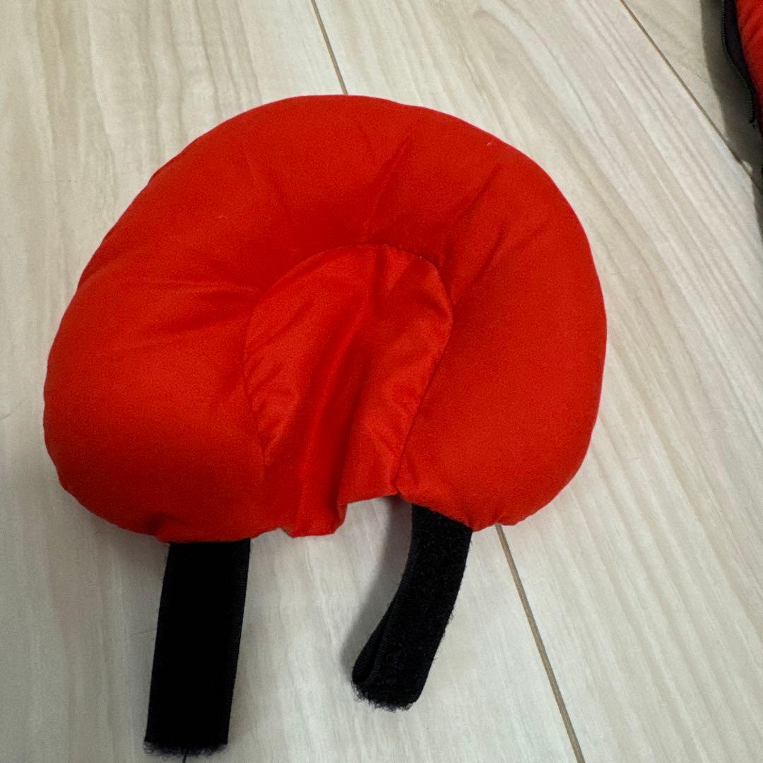 BABYZEN YOYO (0歳児用キャリア➕YOYOベビーカー本体)