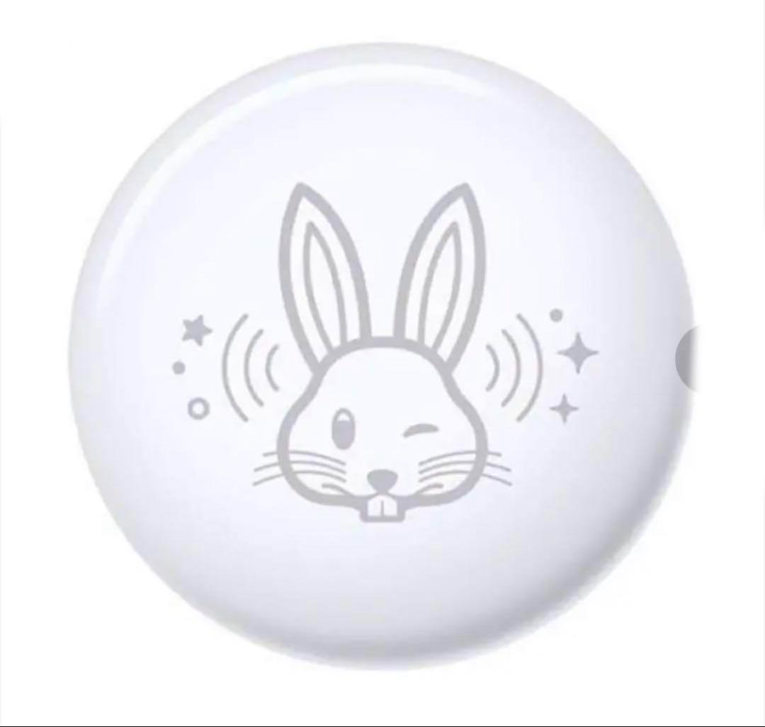 【アップルストア新年限定品】開運 AirTag 2個セット（兎年１個＋巳年１個）