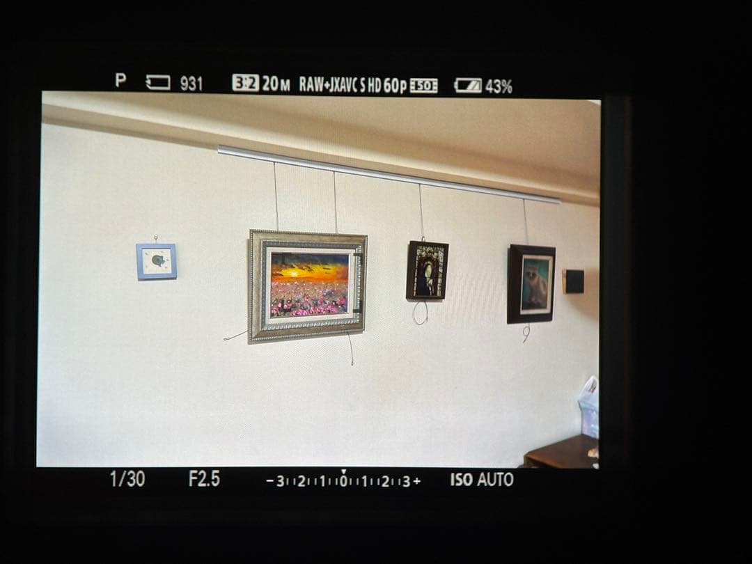 SONY サイバーショット DSC-RX10M3 動作確認済み レンズ内カビあり