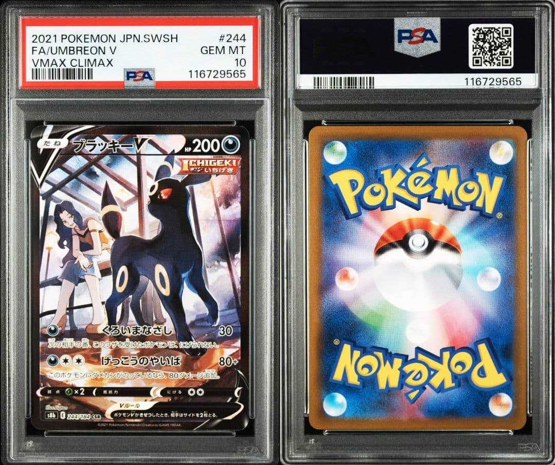 ブラッキーv csr psa10 最新ケース