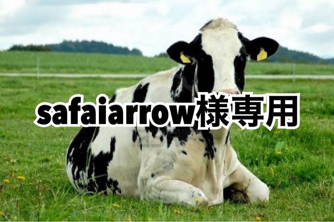 貼付GOLD4、グリーン5、ターコイズ24