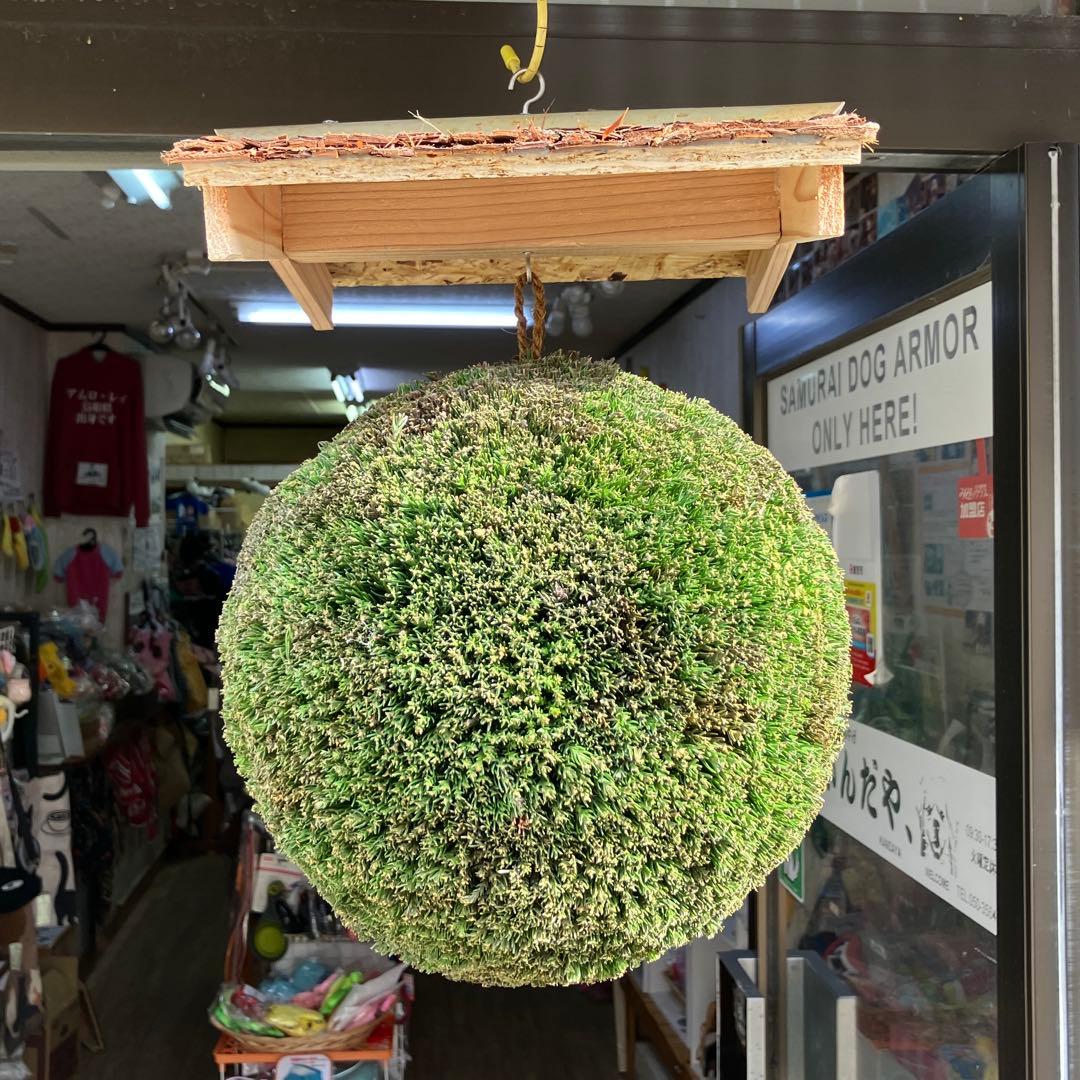 杉玉【屋根付き】②