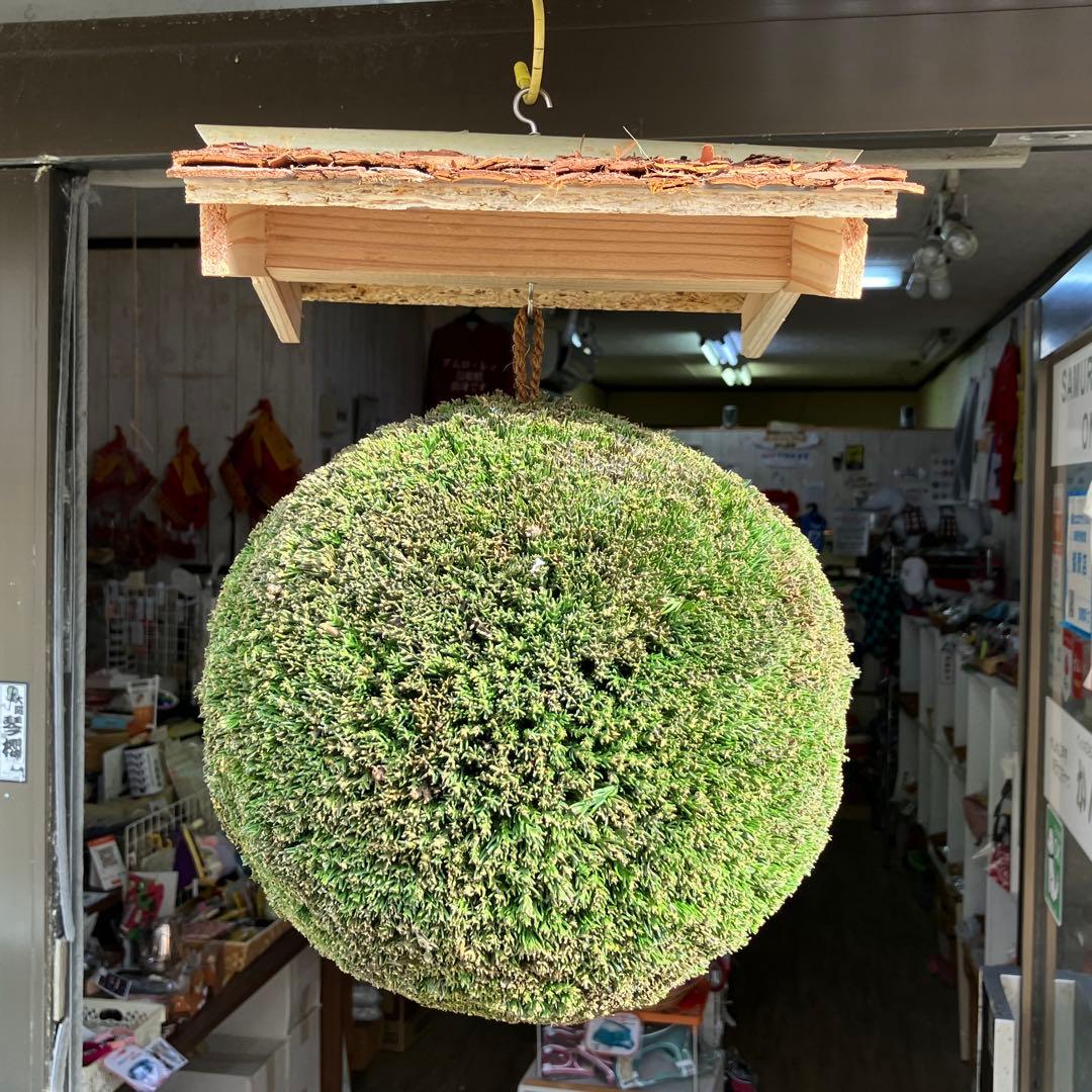 杉玉【屋根付き】②
