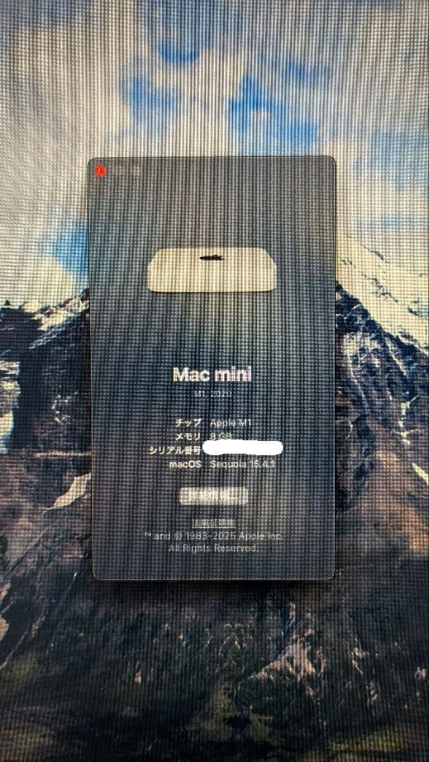 Apple Mac mini M1 2020 8GB 256GB 動作確認済