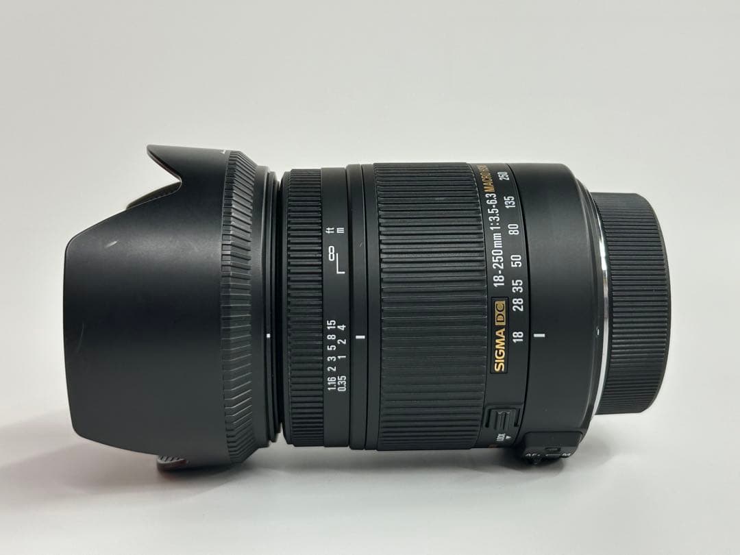 近くも遠くも撮れる高倍率レンズSIGMA18-250mm F3.5-6.3ニコン
