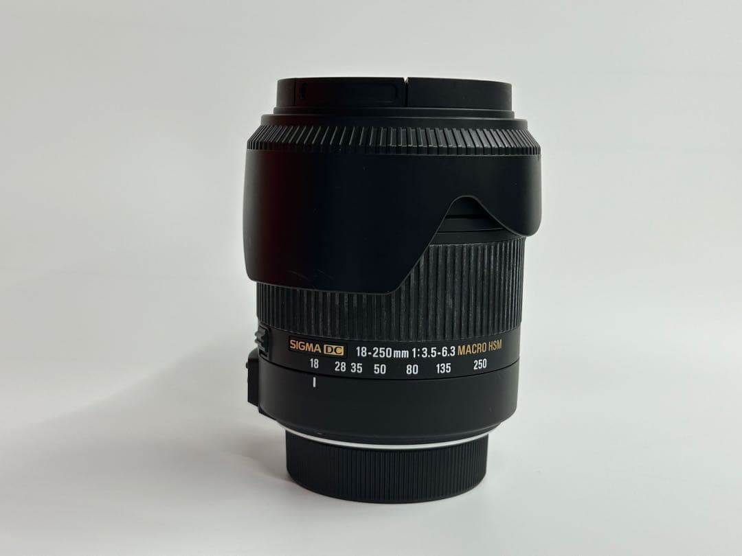 近くも遠くも撮れる高倍率レンズSIGMA18-250mm F3.5-6.3ニコン