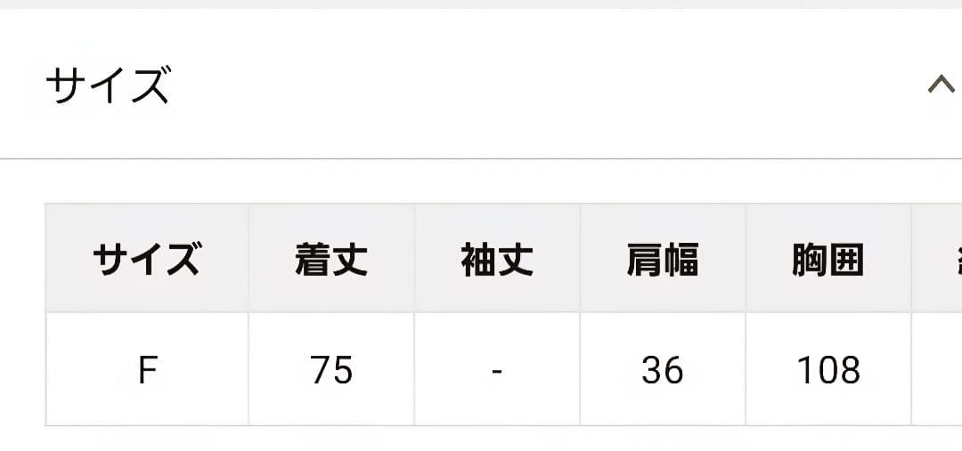 【THE PAUSE】ファーVネックジレ