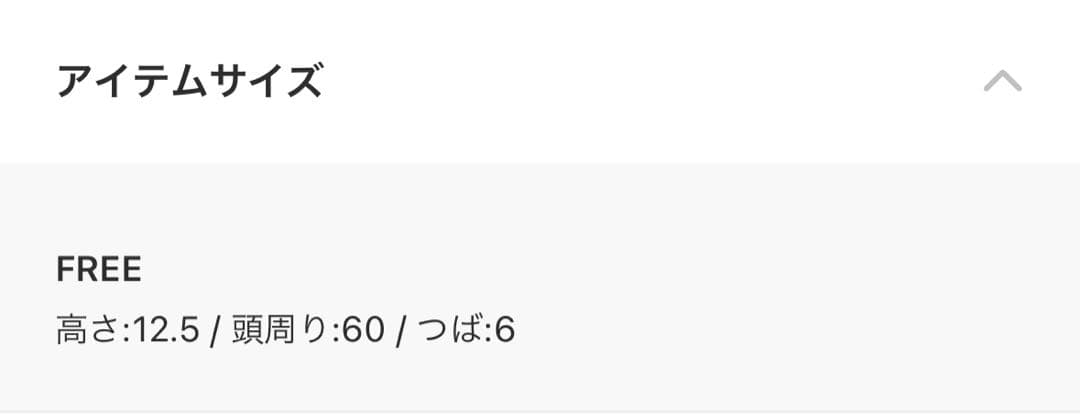 【購入レシートあり】ヴィヴィアンウエストウッド　バケットハット