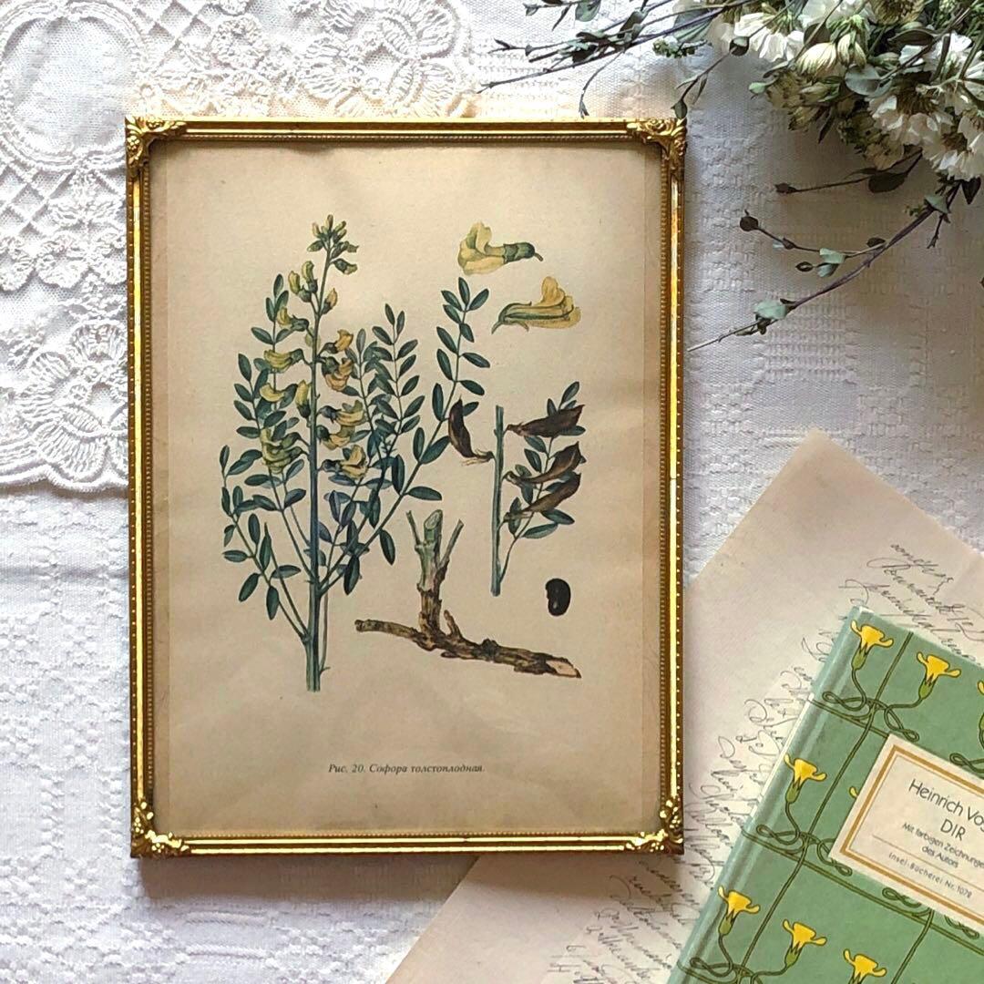 RV82 真鍮フォトフレーム24.5×18.5 北欧ヴィンテージ