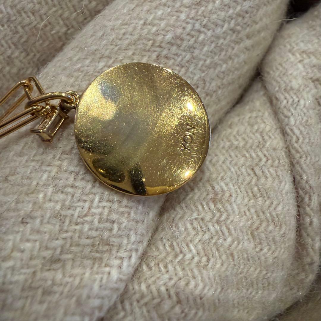 のな⭐︎YON ネイチャー　アオウミガメ