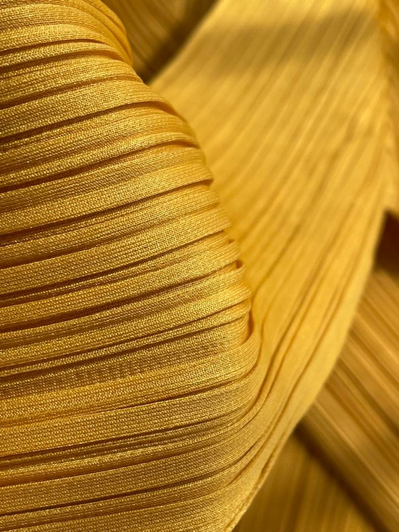 値下げ不可_ プリーツプリーズ　トップス