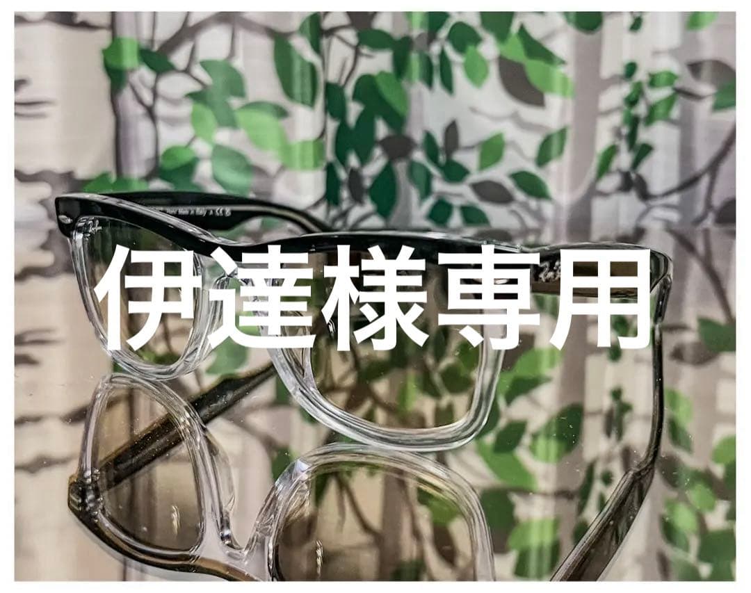 Ray-Ban ウェイファーラーストリートニート