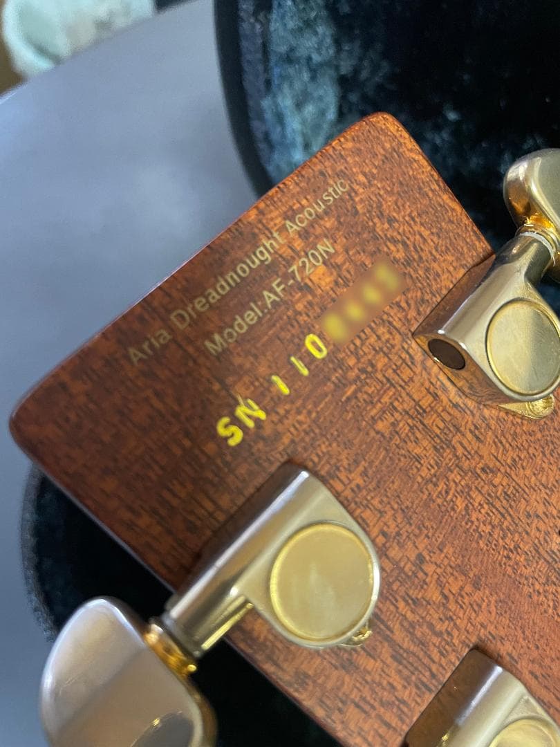 Aria Dreadnought AF-720N 美品