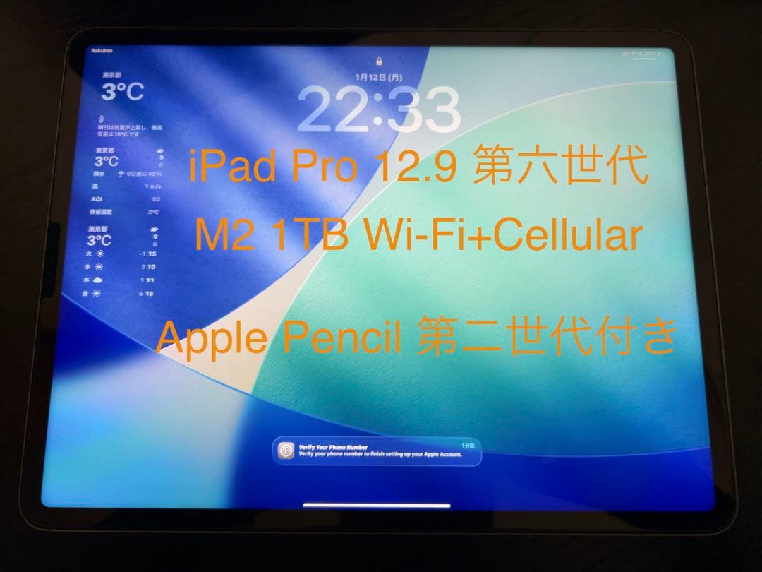iPad Pro 12.9 第6世代 スペースグレー 1TB Cellular