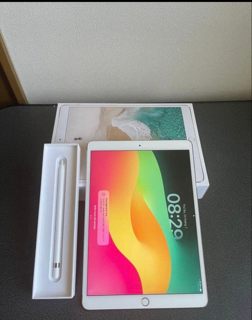 iPad本体 iPadPRO 512Gb+ Apple penci