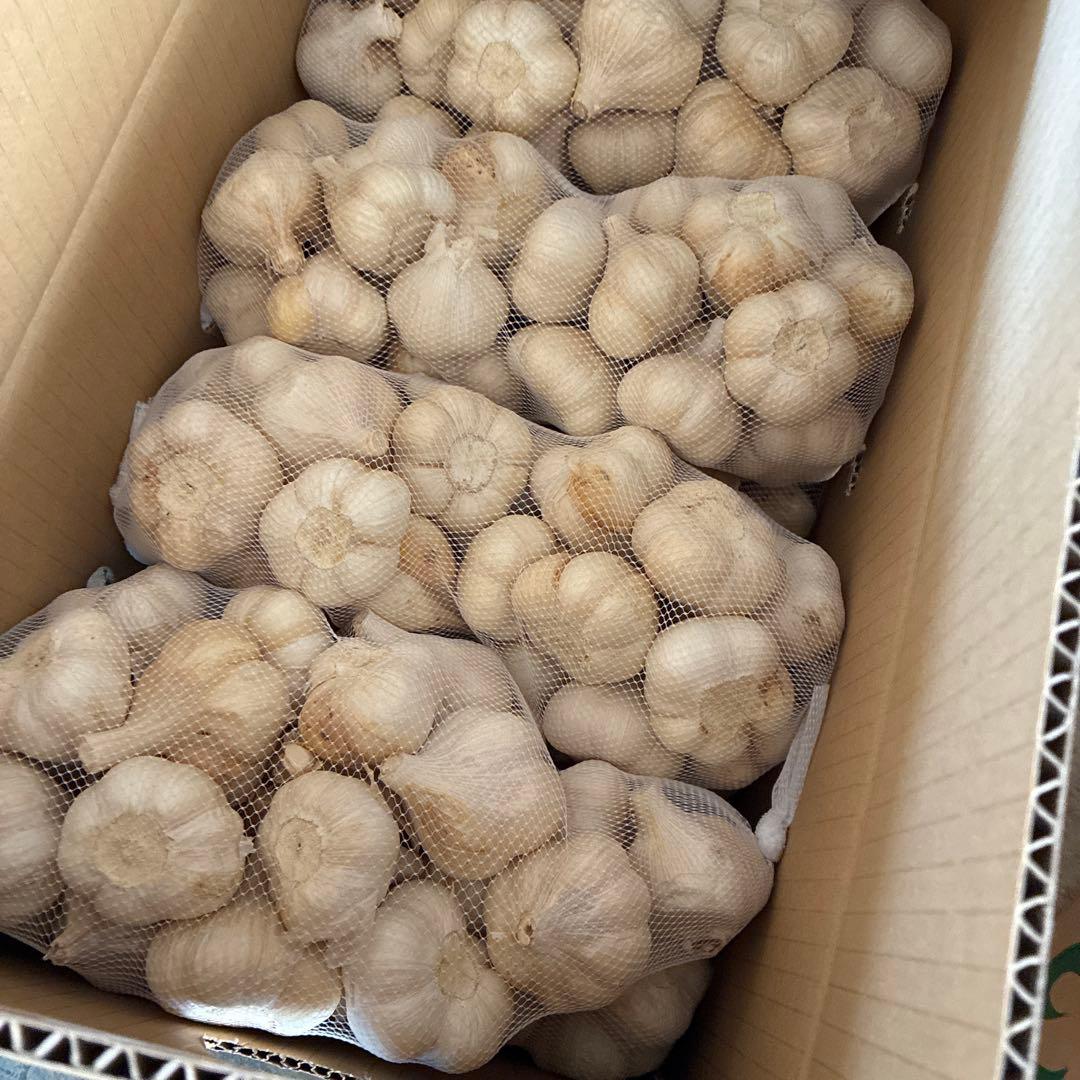 新物　青森県にんにく20KgＬ