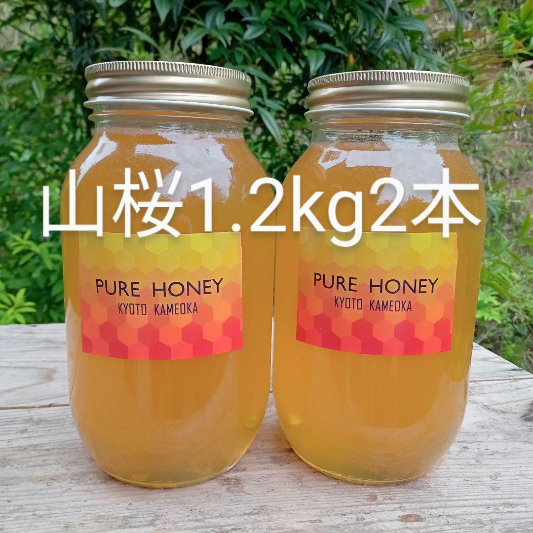 国産　純粋　蜂蜜　はちみつ　1.2kg 2本