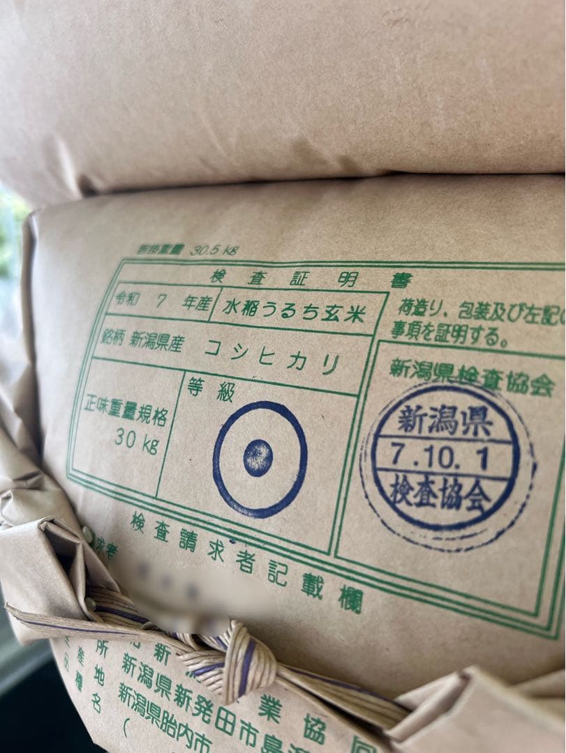 【令和7年産】【一等米】新潟県産従来品種コシヒカリ精米(白米)10kg B②