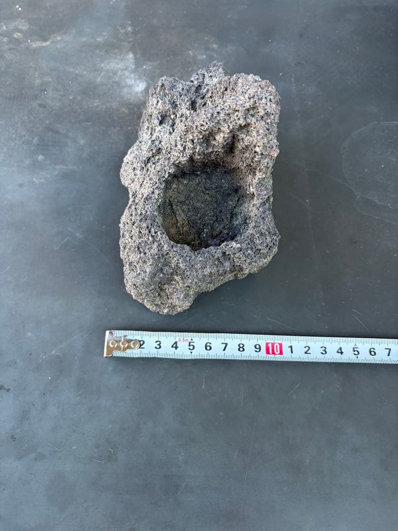 ADA雲山石5個セット