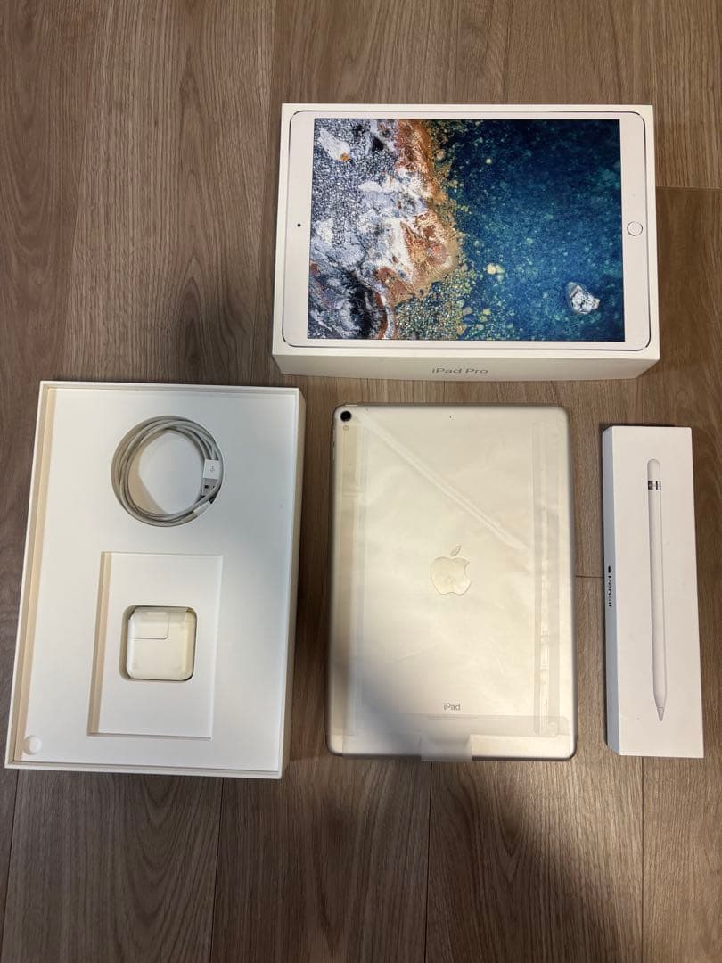 ホワイト iPad 本体 + Apple Pencil