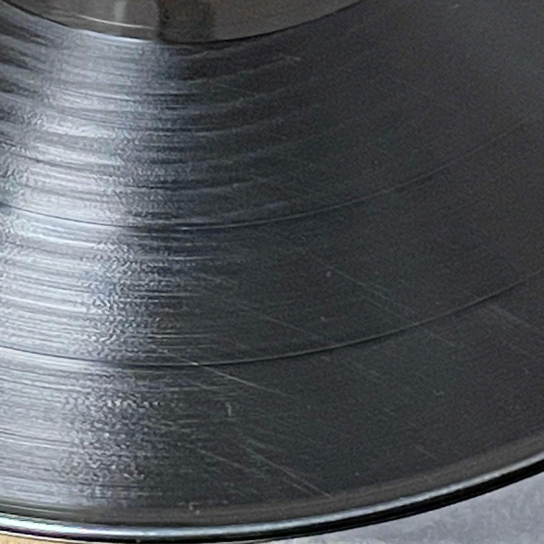 STEELY DAN 180g 2LP 高音質 重量盤 優秀録音 レコード