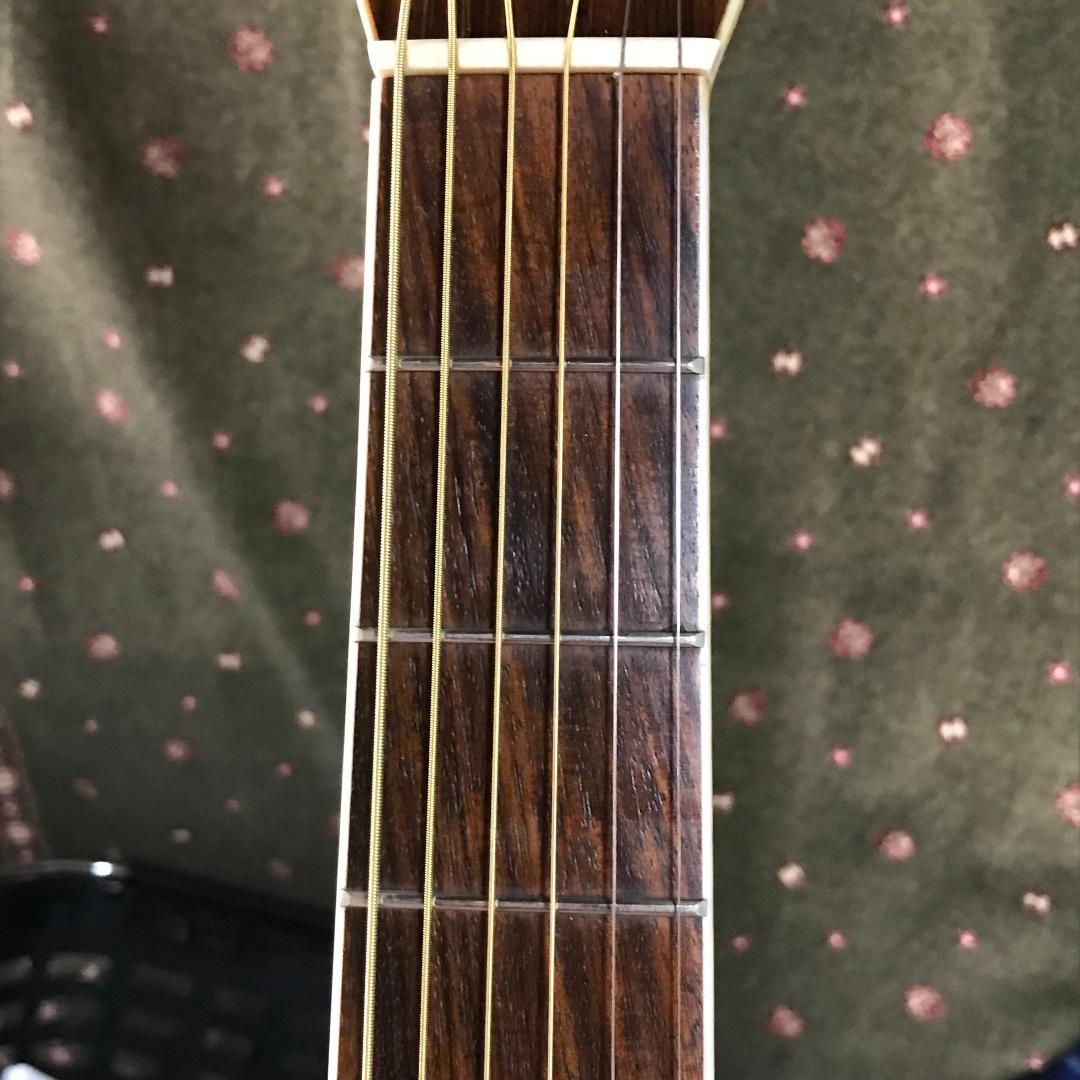 Morris W-30 モーリス【整備品】シール跡有り アコギ ハードケース