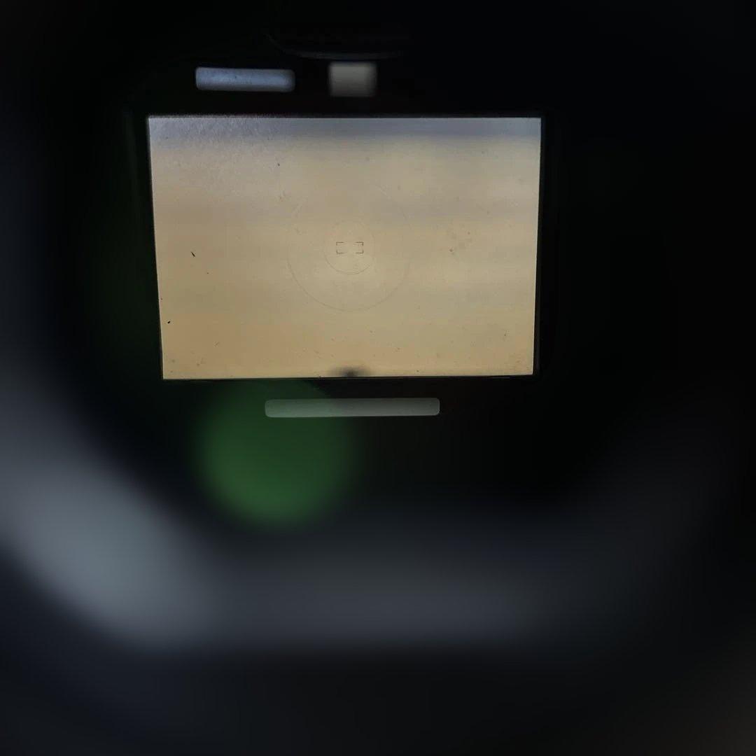 フィルムカメラ Nikon F4 + MB-23