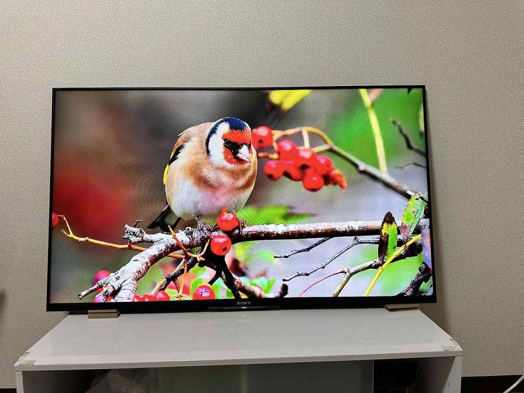 美品！SONY 液晶テレビ KDL 50W 800B 壁掛け用、スタンド無し