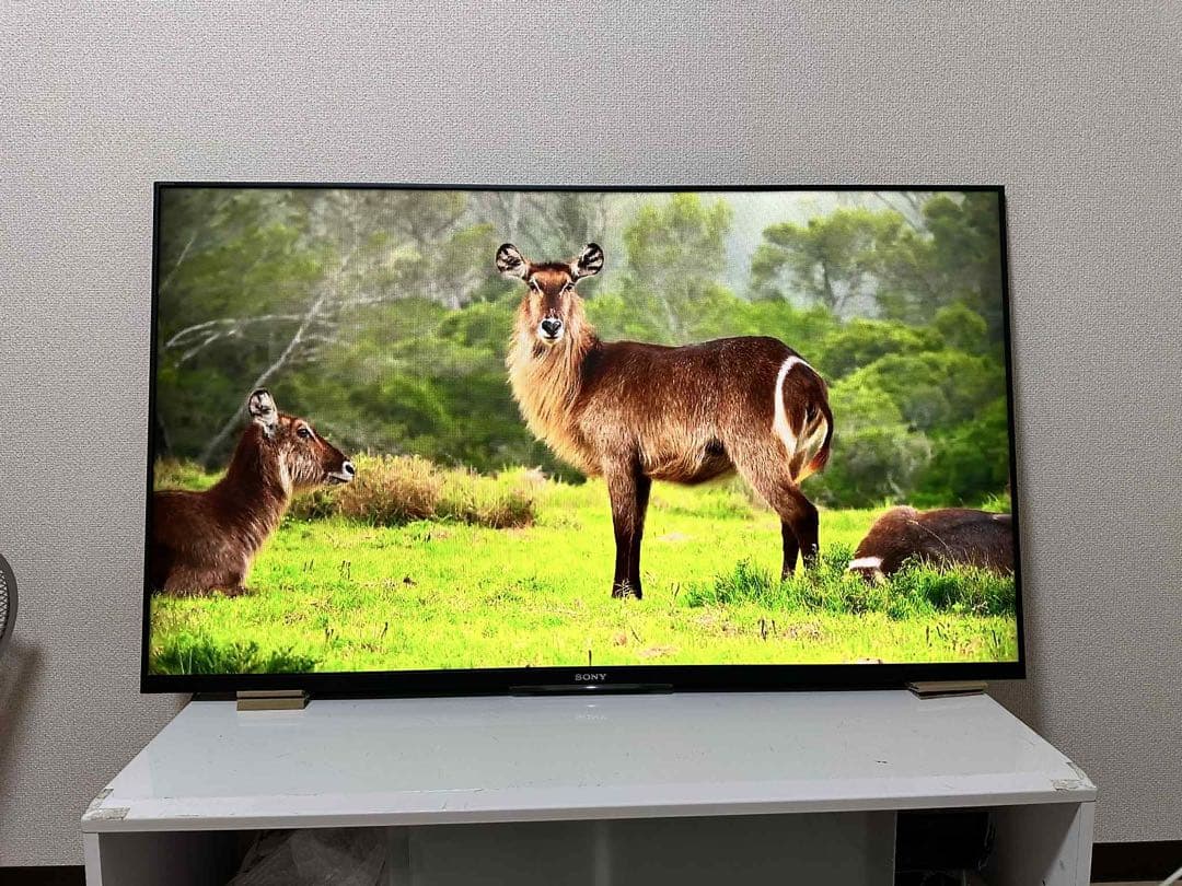 美品！SONY 液晶テレビ KDL 50W 800B 壁掛け用、スタンド無し