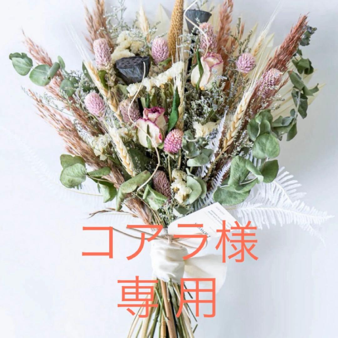 コアラ様　黒　ニット帽