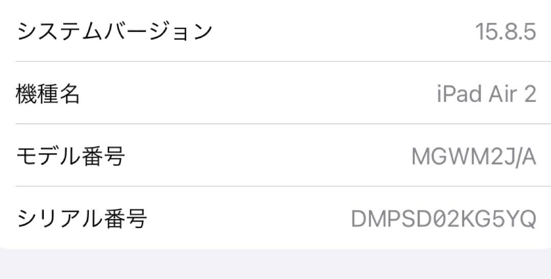 Apple iPad Air 2 シルバー 本体　128GB