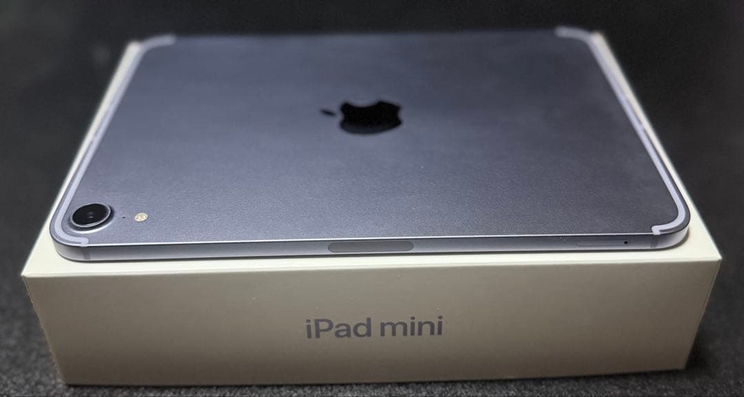 iPad mini 第6世代　Wi-Fi セルラーモデル　64GB 美品　87%