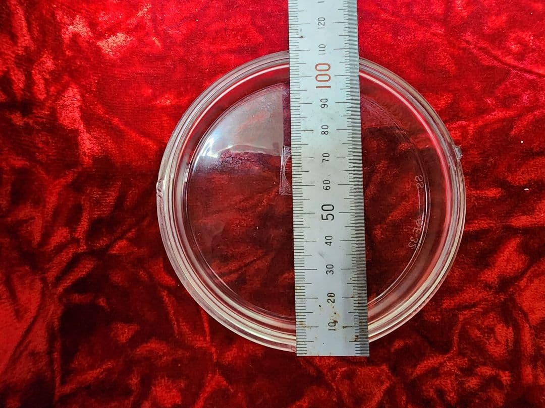 シビエ　レンズ　シャリー　ダックス