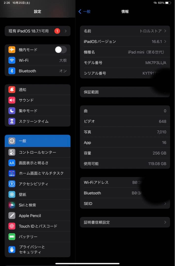 【稀少】iPad mini 第6世代 Wi-Fi 256GB