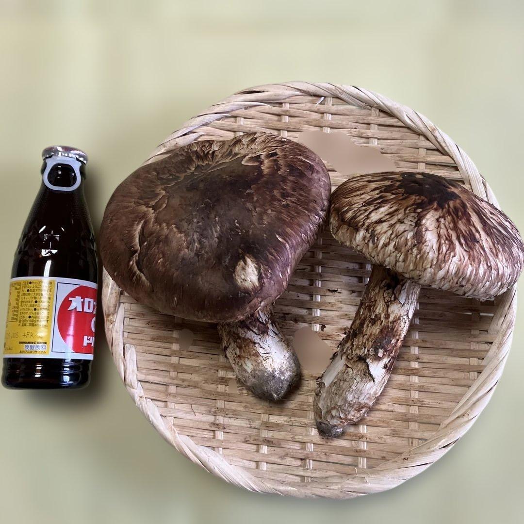 岩手県産松茸　320g