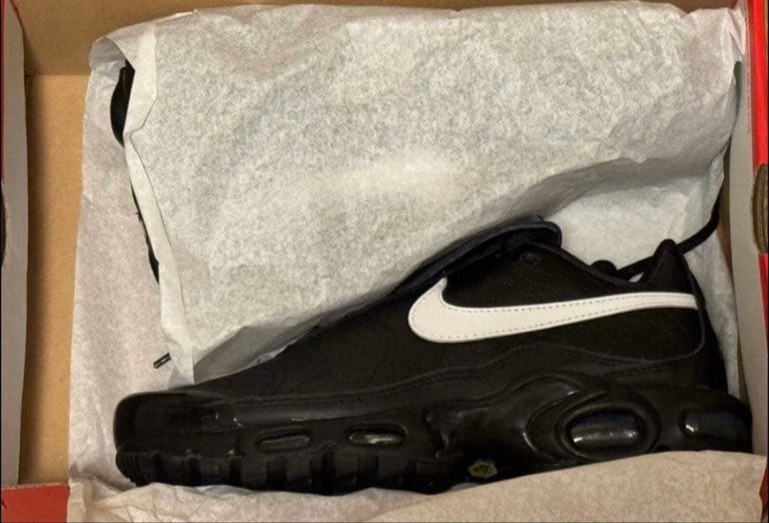 Air Max Plus Tiempo Black エアマックス　ティエンポ