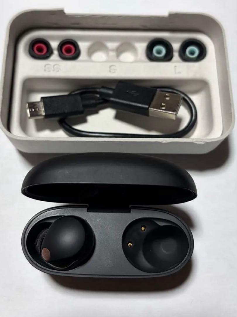 【使用期間2週間】 昨年10月購入WF-1000XM5 充電ケースと左耳【美品】