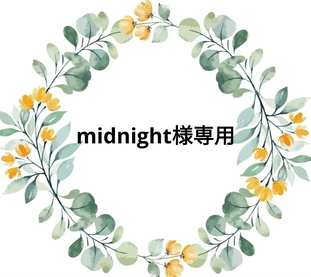 midnight 　エードＬ＋＋ウィッグ付