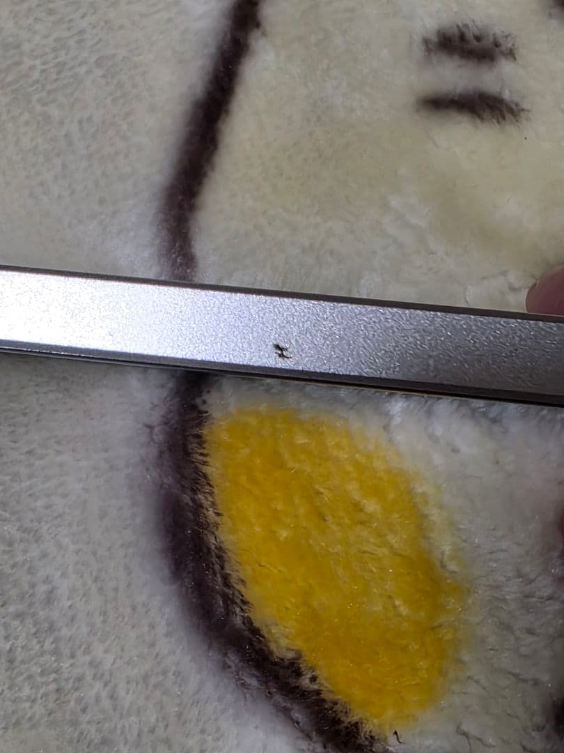 OPPO　Reno9 A　ムーンホワイト　美品