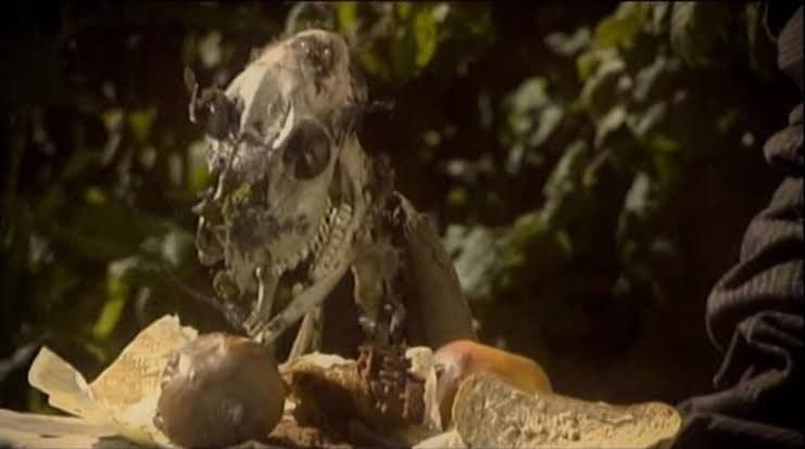 【廃盤】Melancholie der Engel DVD　ホラー グロテスク