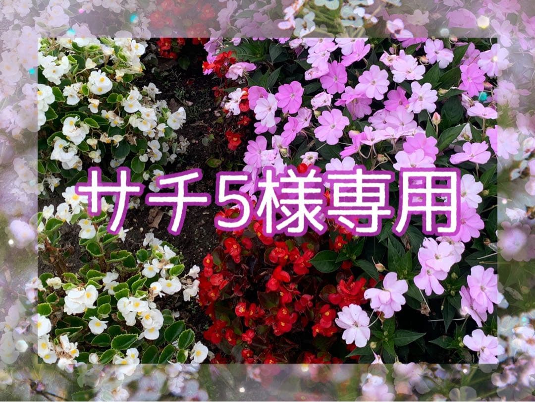 ハロウィン観賞用おもちゃかぼちゃ　40個　サチ5 B