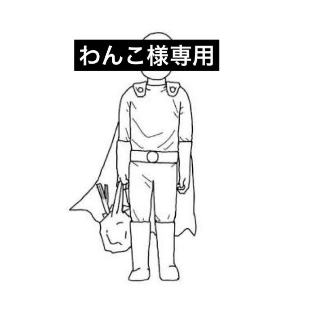 新品未使用 パナソニック NNFB90605K 非常用照明 LED 天井埋込型