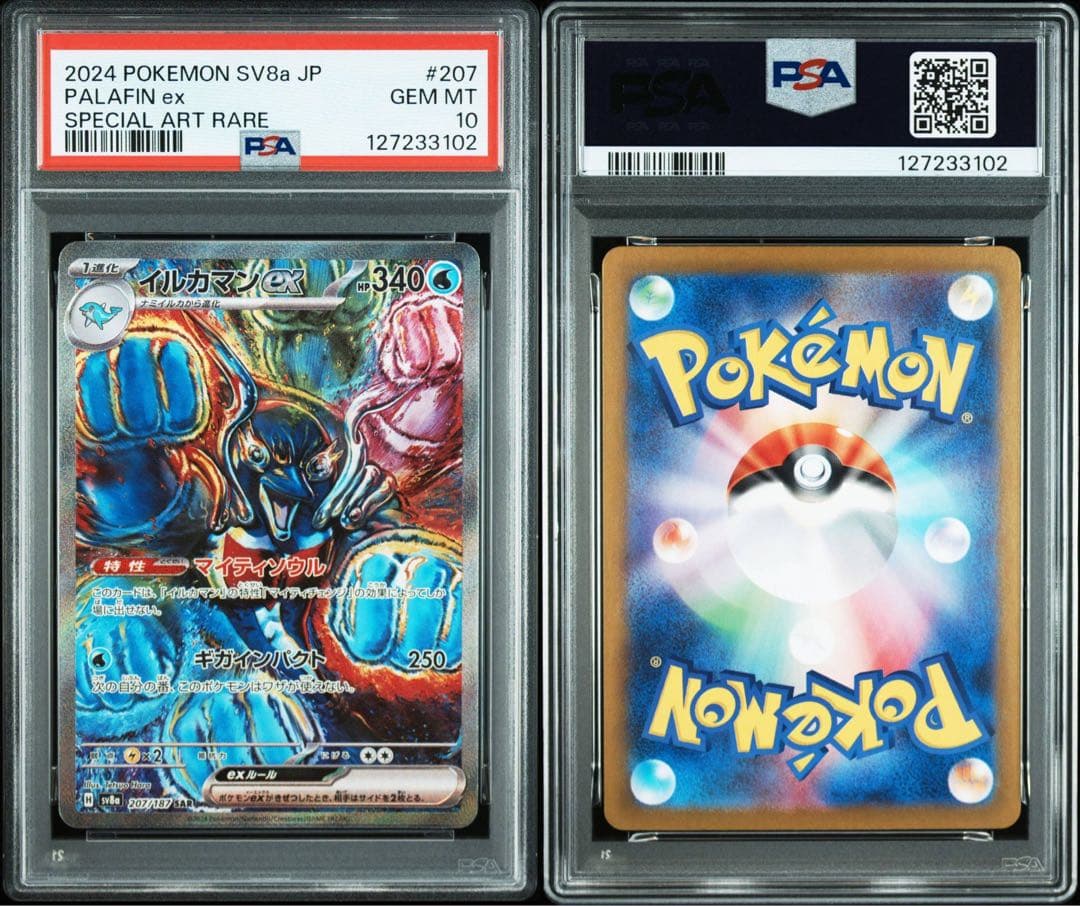 イルカマン SAR 207/187 SV8a PSA10