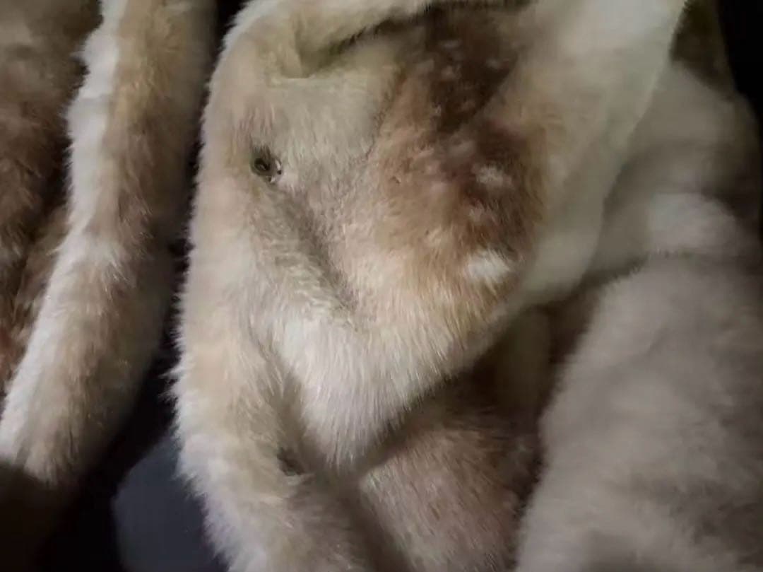 n.k atelier バンビ ファージャケット