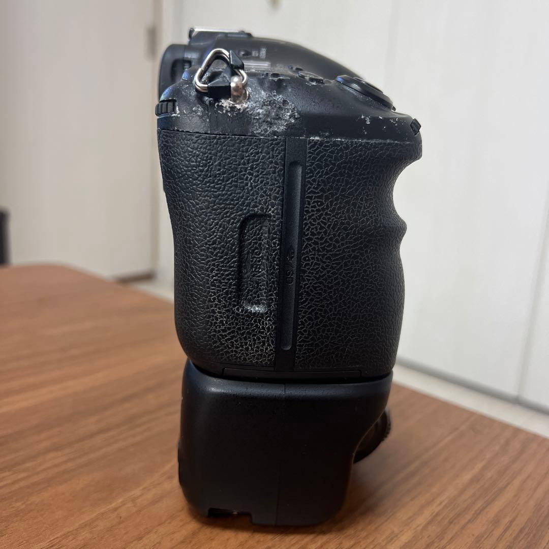 SONYα99/純正グリップVG-C99A付です。