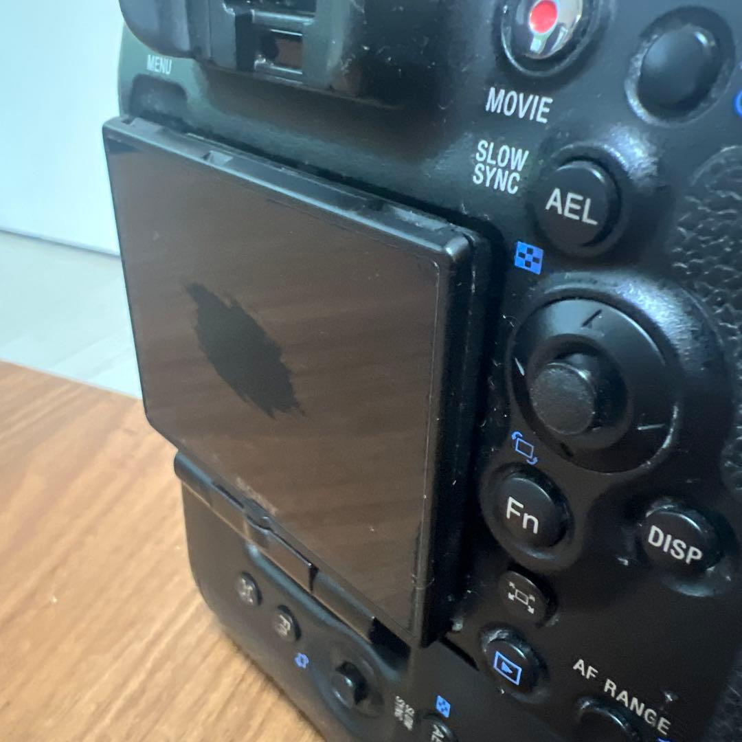 SONYα99/純正グリップVG-C99A付です。